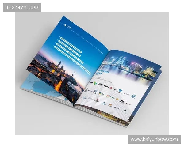 开云网站登录入口的重要性及其对用户的影响