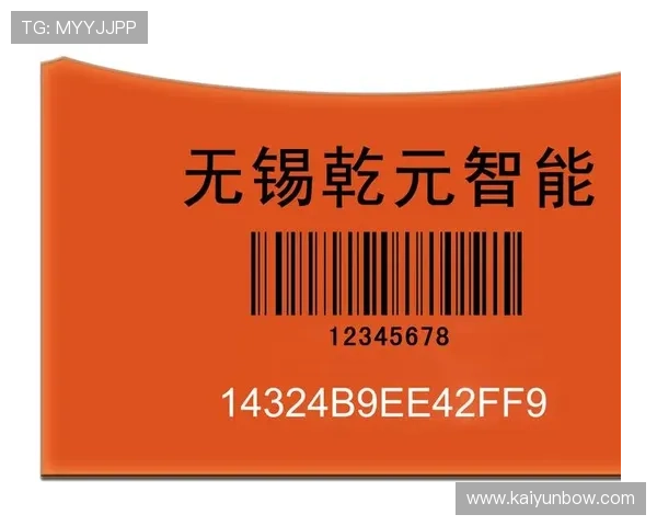 云开官网app下载，官方渠道下载保障软件安全与稳定