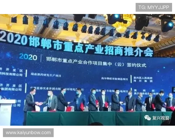 开云金年会集团网址企业合作优势与合作流程详解