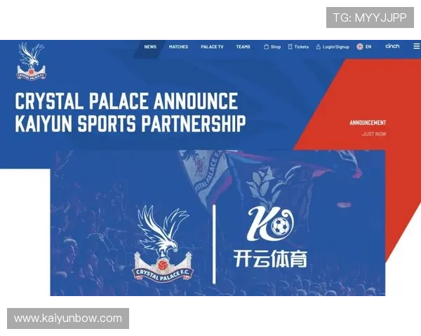 深入解析开云体育官方地址的安全性与可靠性