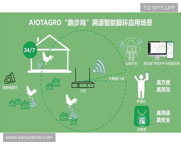云体育app如何结合大数据和人工智能技术优化内容推荐体验 云体育app如何结合大数据和人工智能技术优化内容推荐体验